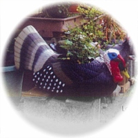 Planter (Turkey)