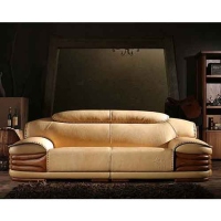 Leather Sofas