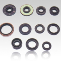 Oil Seals