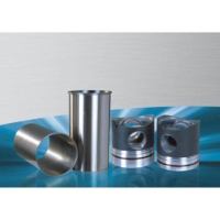 Cylinder Liners