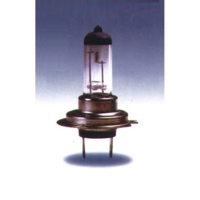 Halogen Head Lamp Bulb