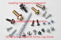 SEMS Screw, Machine Screw, Lag Screw