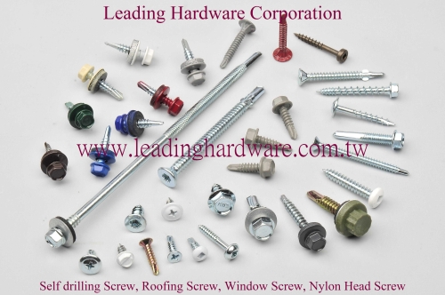 Self drilling Screw, roofing screw, window screw, nylon head screw