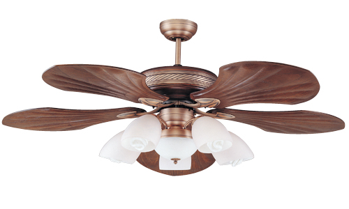 Ceiling Fan