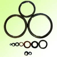 Oil Seals