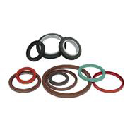 Oil Seals