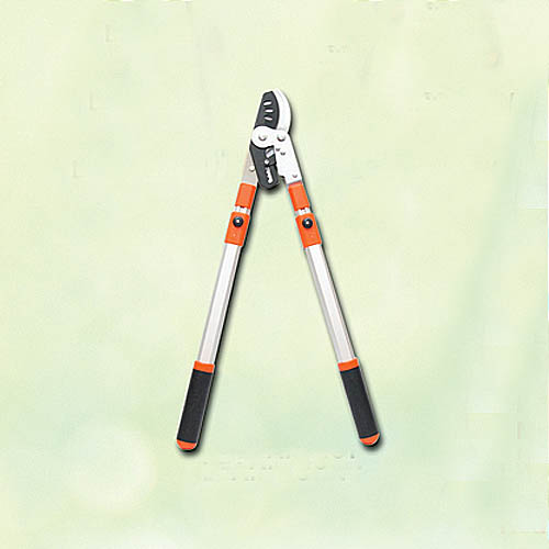 Ratchet bypass telescopic shear