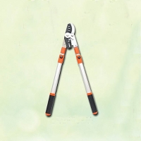 Ratchet bypass telescopic shear