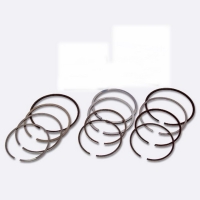 Piston ring for Marine