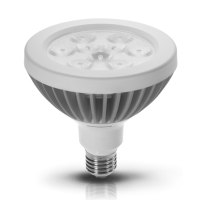 15W PAR38 LED Lamp