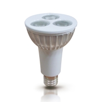 3W PAR16 LED Lamp