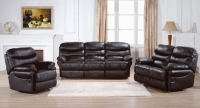 Leather Sofas