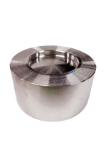 Wafer Check Valve