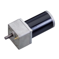 Electric Bicycle DC Motors