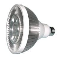 LED PAR Light 38(spotlight)