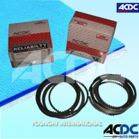 Piston and Piston Ring