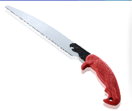 Pruning Saw