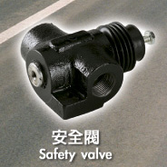 Safety Valve