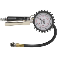 Multipurpose Tire Gauge