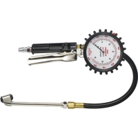 Multipurpose Tire Gauge