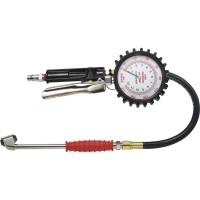 Multipurpose Tire Gauge