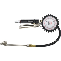 Multipurpose Tire Gauge