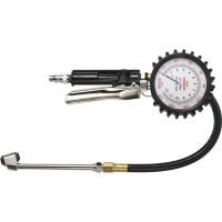 Multipurpose Tire Gauge