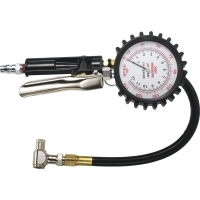 Multipurpose Tire Gauge