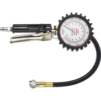 Multipurpose Tire Gauge