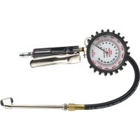 Multipurpose Tire Gauge