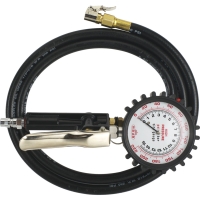 Multipurpose Tire Gauge