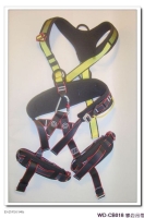 Climbing / Industrial Safety Belt