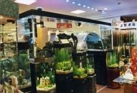 Aquarium Projects