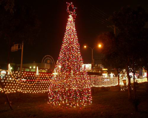 LED Christmas Light