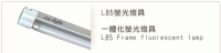 Frame fluorescent lamp