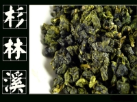 杉林溪高山烏龍茶