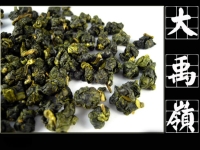 大禹嶺高山烏龍茶