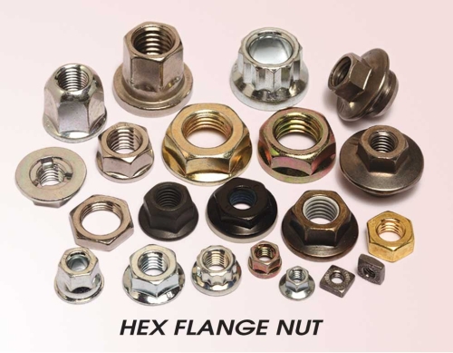 Hex Flange Nut