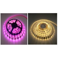 LED Flexsible Strip Lamp