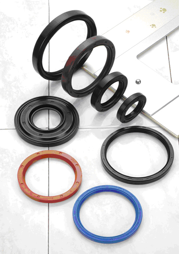 Oil Seals