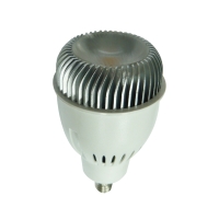 10W LED spot light