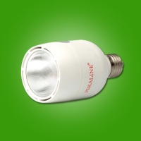 16W LED Bulbs