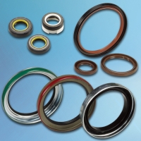 Oil Seals