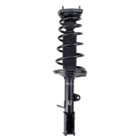 Shock Absorbers and strut