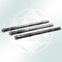 Anchoring Screw