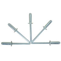 Aluminum Rivet With Steel Mandrel