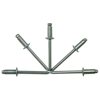 Steel Rivet With Steel Mandrel