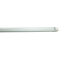 T10 LED Tube