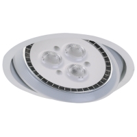 10W Downlight