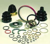 Oil Seals